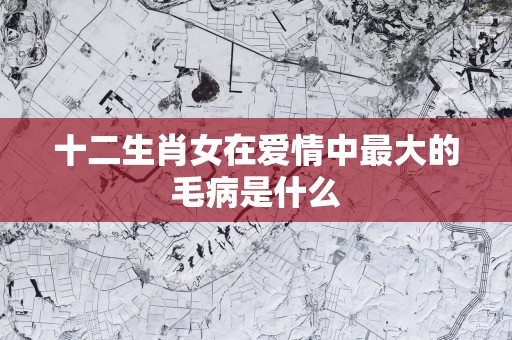 十二生肖女在爱情中最大的毛病是什么
