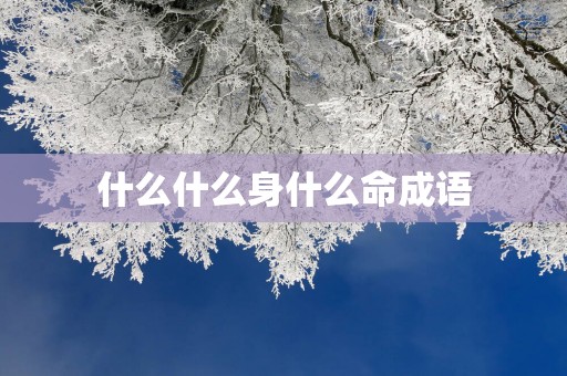 什么什么身什么命成语