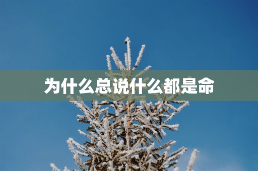 为什么总说什么都是命