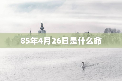 85年4月26日是什么命