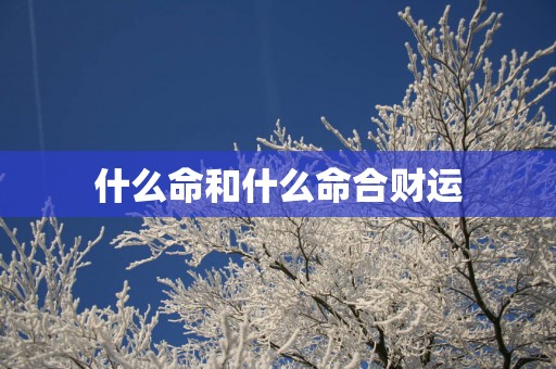 什么命和什么命合财运