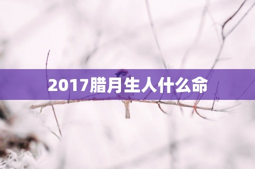 2017腊月生人什么命