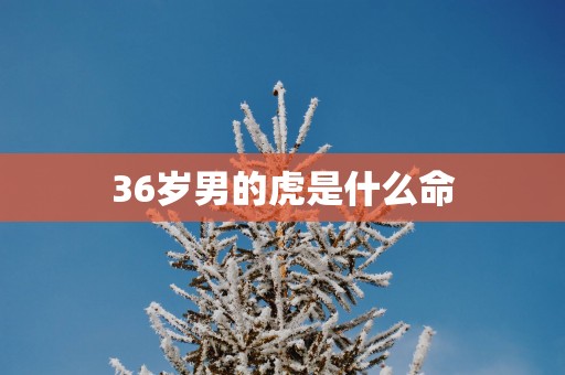 36岁男的虎是什么命