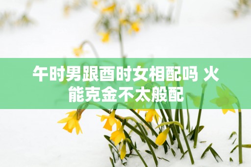 午时男跟酉时女相配吗 火能克金不太般配