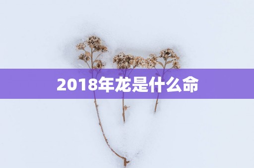 2018年龙是什么命