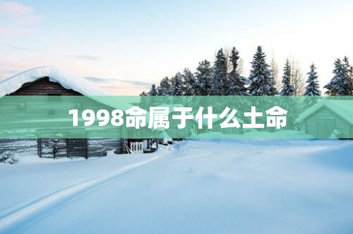 1998命属于什么土命