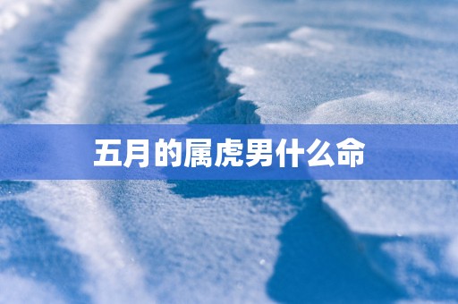 五月的属虎男什么命