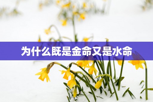 为什么既是金命又是水命