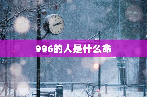 996的人是什么命