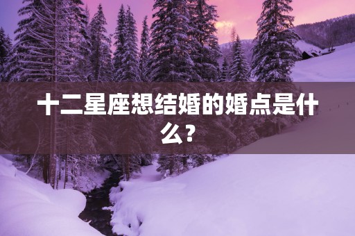 十二星座想结婚的婚点是什么？