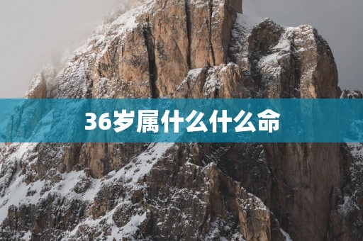 36岁属什么什么命