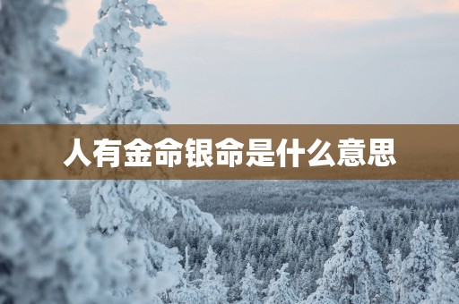 人有金命银命是什么意思