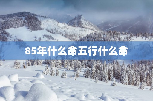 85年什么命五行什么命