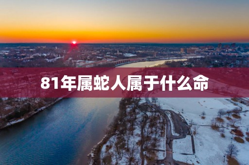 81年属蛇人属于什么命