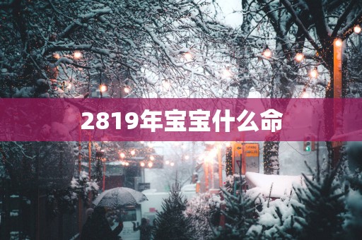 2819年宝宝什么命