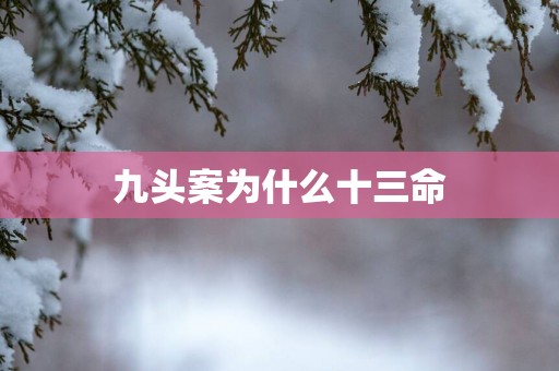 九头案为什么十三命