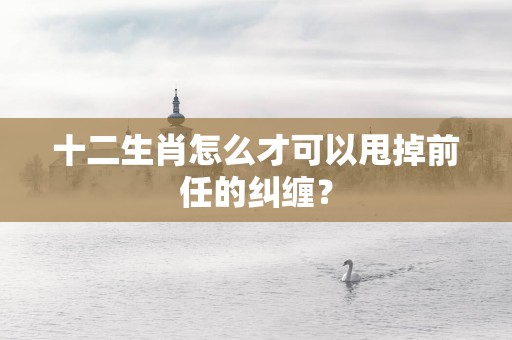 十二生肖怎么才可以甩掉前任的纠缠？