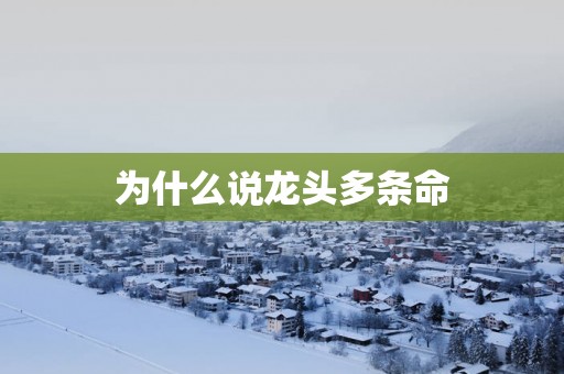 为什么说龙头多条命
