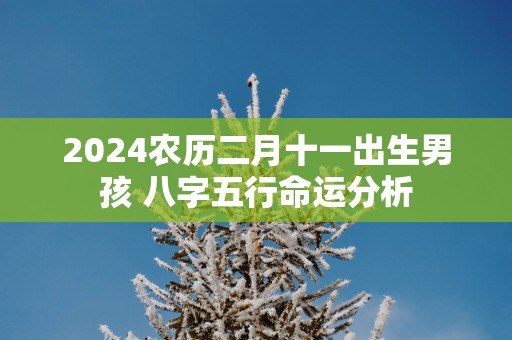2025农历二月十一出生男孩 八字五行命运分析