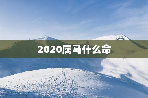 2025属马什么命