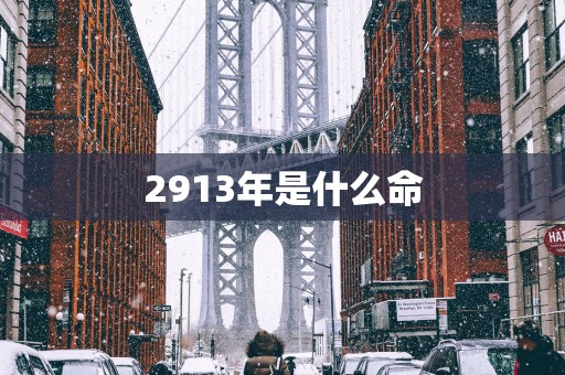 2913年是什么命