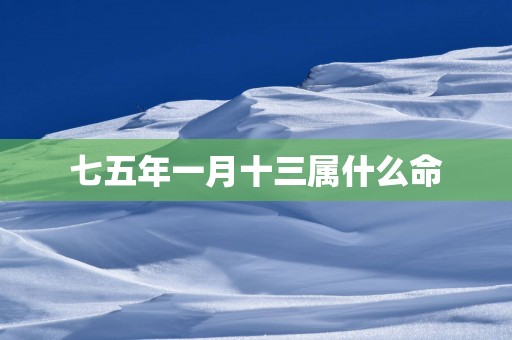 七五年一月十三属什么命