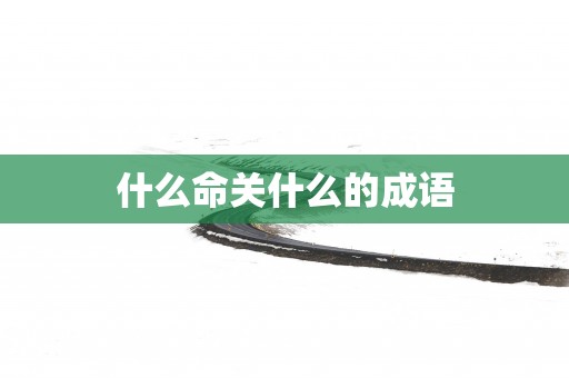 什么命关什么的成语