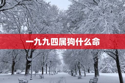 一九九四属狗什么命