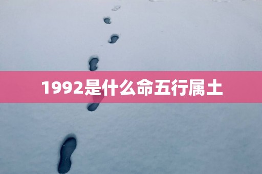 1992是什么命五行属土