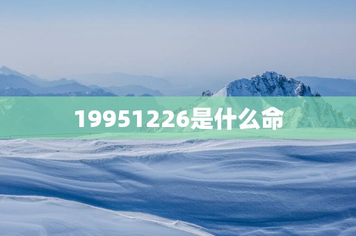 19951226是什么命