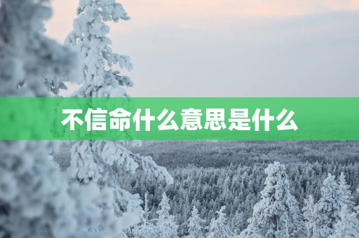不信命什么意思是什么