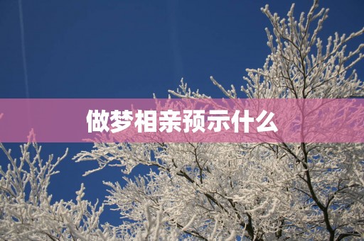 做梦相亲预示什么
