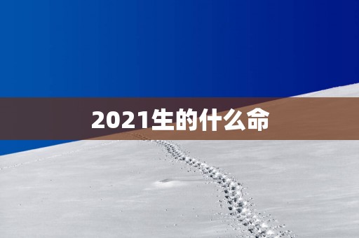 2025生的什么命