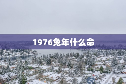 1976蛇年什么命