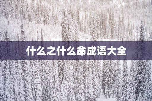 什么之什么命成语大全