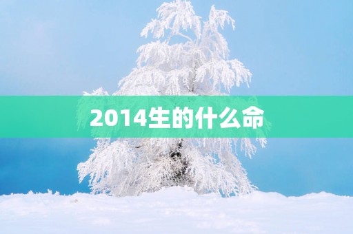 2014生的什么命
