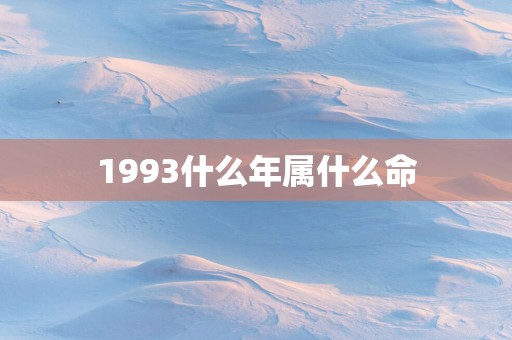 1993什么年属什么命