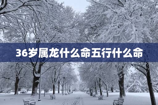 36岁属龙什么命五行什么命