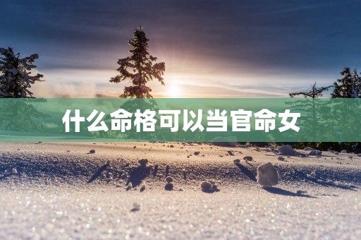 什么命格可以当官命女