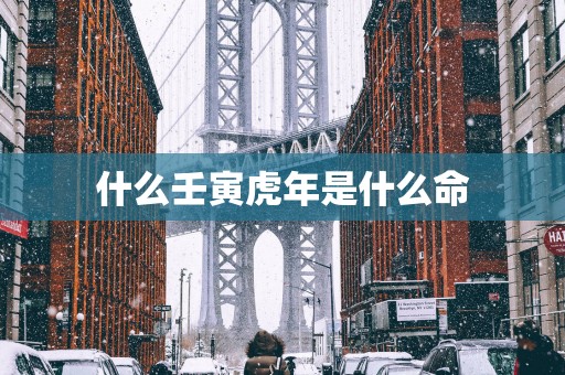 什么壬寅蛇年是什么命