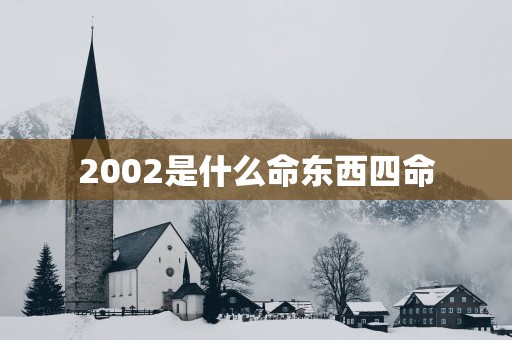2002是什么命东西四命