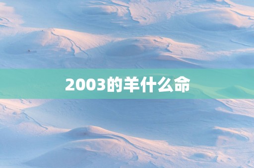 2003的羊什么命