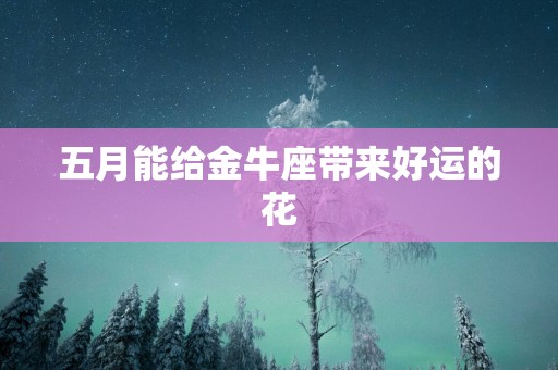五月能给金牛座带来好运的花