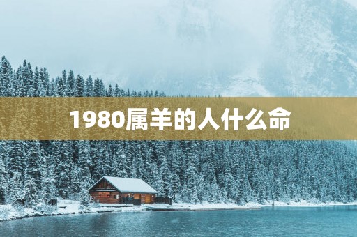 1980属羊的人什么命