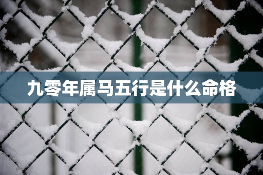 九零年属马五行是什么命格