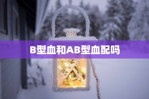B型血和AB型血配吗