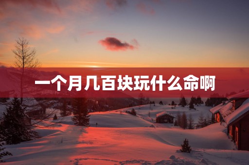 一个月几百块玩什么命啊