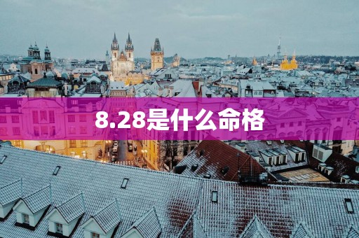8.28是什么命格