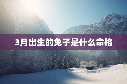 3月出生的兔子是什么命格