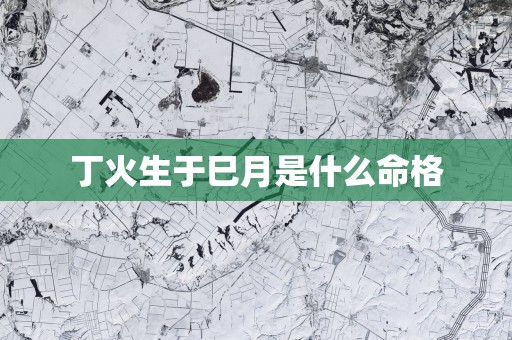 丁火生于巳月是什么命格